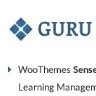Guru | Learning Management WordPress Theme