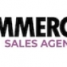 WooCommerce B2B Sales Agents