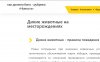 новость.jpg