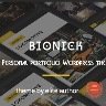 Bionick | Personal Portfolio WordPress Theme