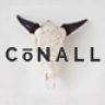 Conall – A Clean & Beautiful Multipurpose Theme