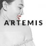 Artemis – Multi-Purpose Woocommerce Wordpress Theme