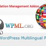 WPML Translation Management Addon