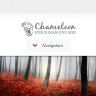 Chameleon WordPress Theme