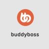 BuddyBoss - Platform Theme