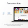 Livemesh Addons for Elementor Pro