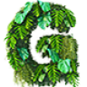 Gardena - Landscaping & Gardening